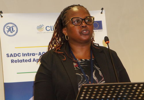 Ms. Mapolao Rosemary Mokoena-Director for Infrastructure at SADC Secretariat
